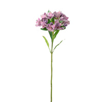 Empress Alstromeria Stem