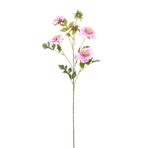 Ruffled Scabiosa Spray