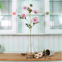 Ruffled Scabiosa Spray