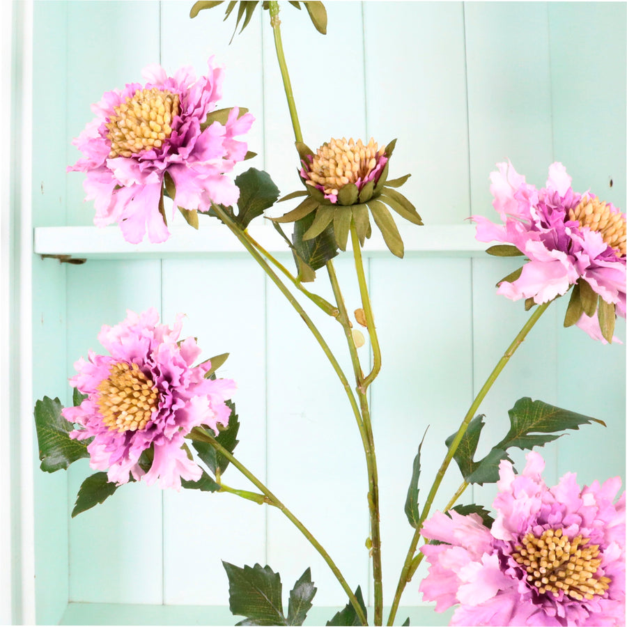 Ruffled Scabiosa Spray