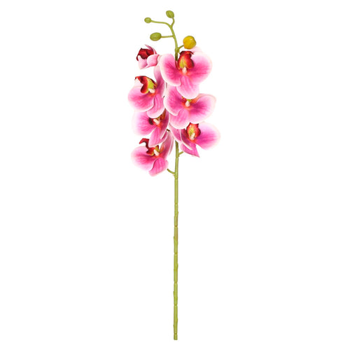 7 Head Orchid Stem