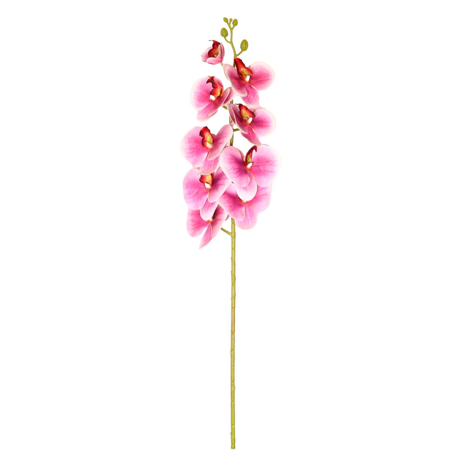 9 Head Orchid Stem