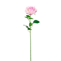 Open Esme Rose Stem