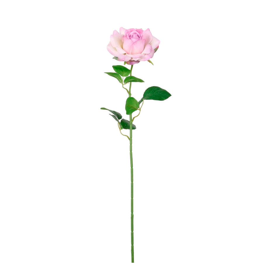 Open Esme Rose Stem