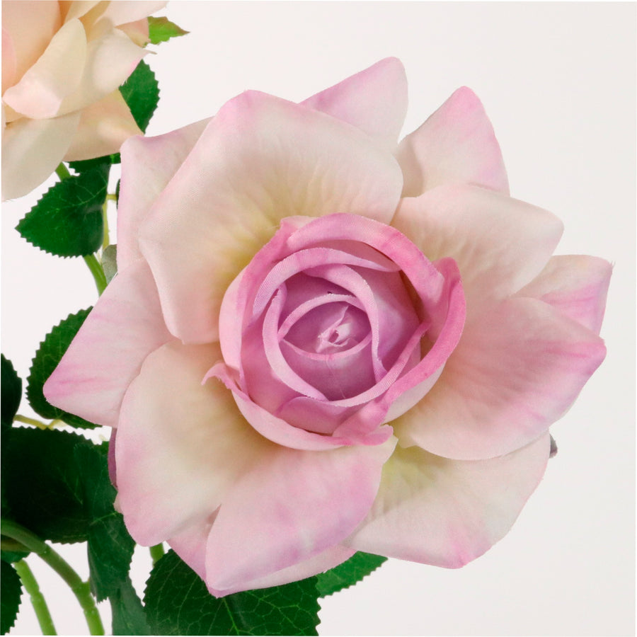 Open Esme Rose Stem