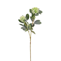 Bushy Viburnum Spray