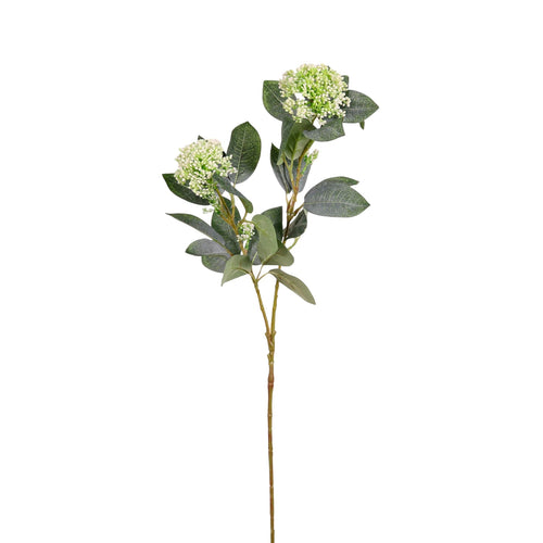 Bushy Viburnum Spray