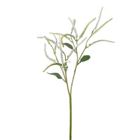Spired Salvia Spray