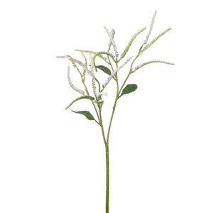 Spired Salvia Spray