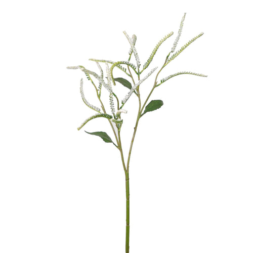 Spired Salvia Spray