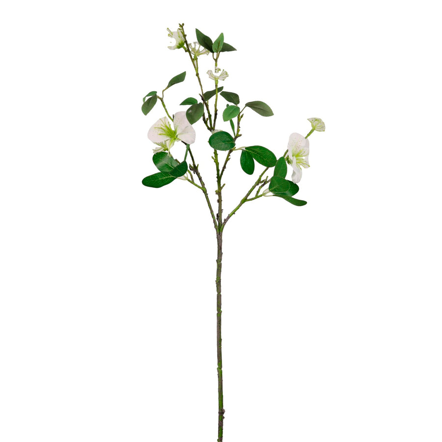 Leilani Spray
