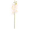 7 Head Orchid Stem