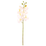 7 Head Orchid Stem