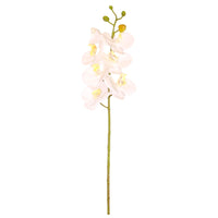 7 Head Orchid Stem