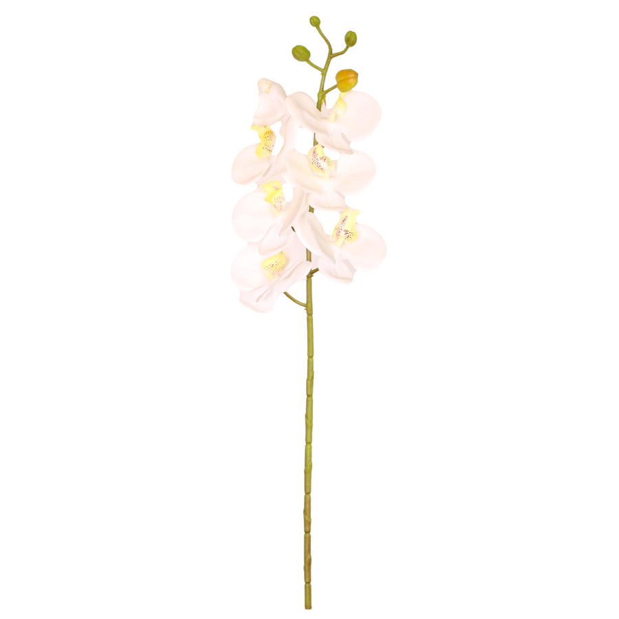 7 Head Orchid Stem