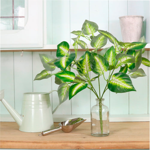 Veined Large Hosta Leaf Bunch