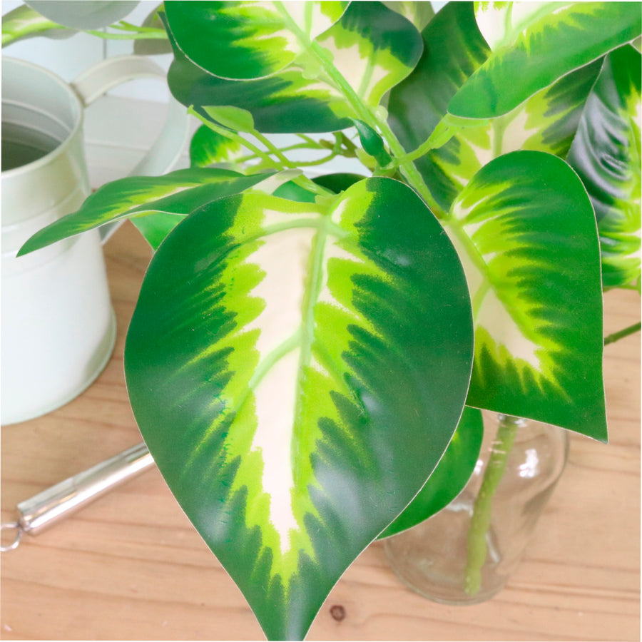 Veined Large Hosta Leaf Bunch