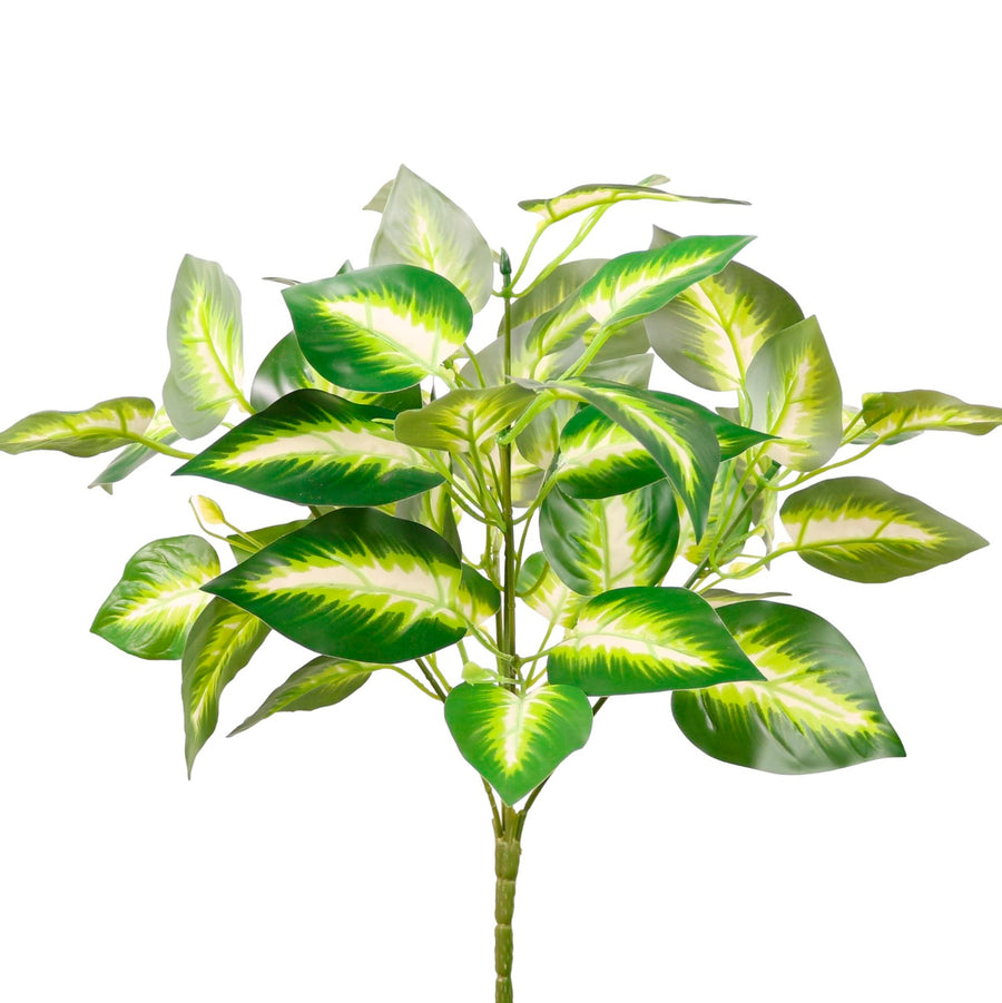 Medium Veined Hosta Leaf Bunch White/Green