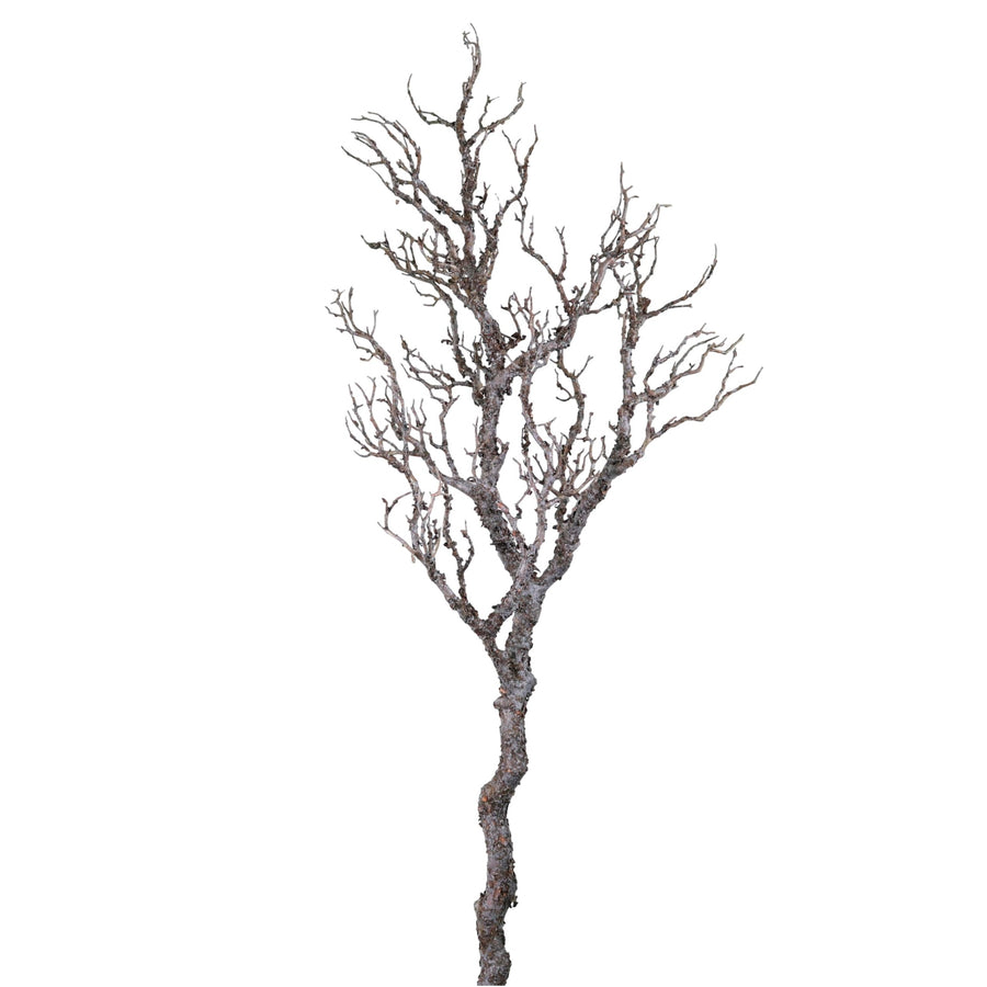 Wildwood Branch No:3