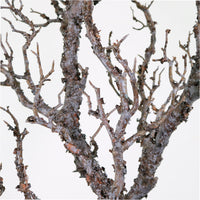 Wildwood Branch No:3