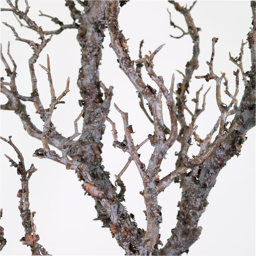 Wildwood Branch No:3