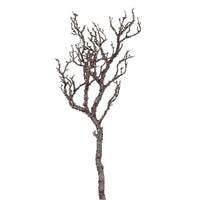 Wildwood Branch No:5