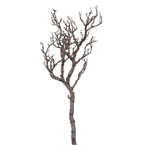 Wildwood Branch No:5