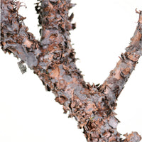 Wildwood Branch No:5