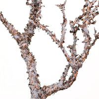 Wildwood Branch No:7