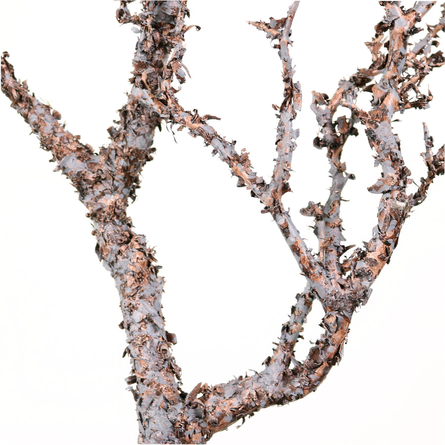 Wildwood Branch No:7