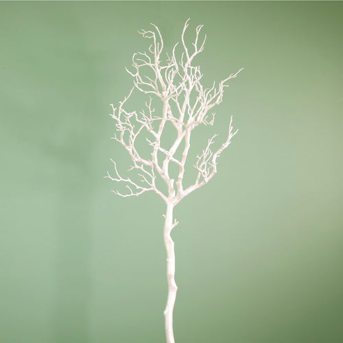 Wildwood Branch No:8