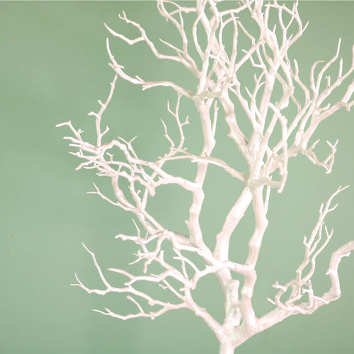 Wildwood Branch No:8