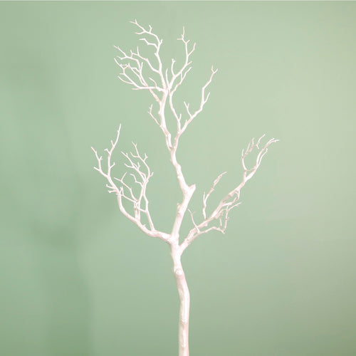 Wildwood Branch No:9