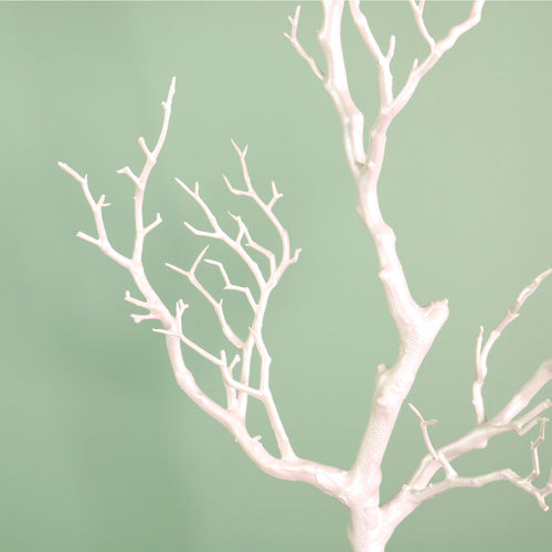 Wildwood Branch No:9