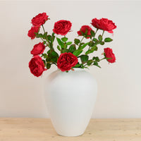 Austin Rose Stem