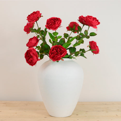 Austin Rose Stem