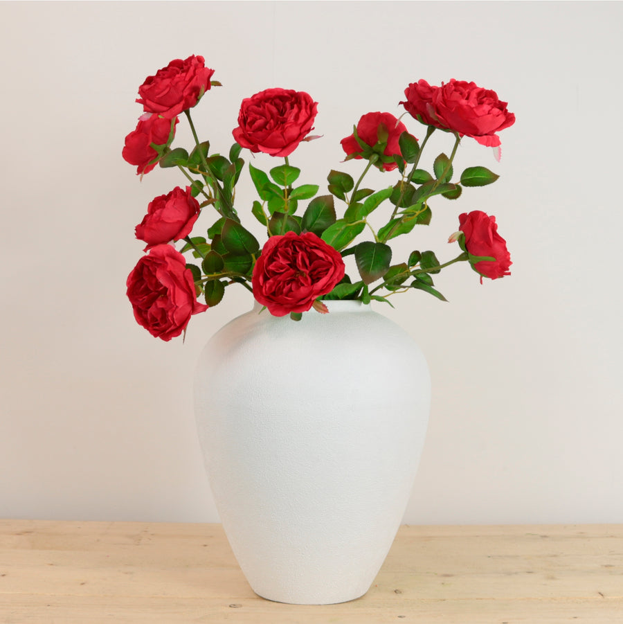 Austin Rose Stem