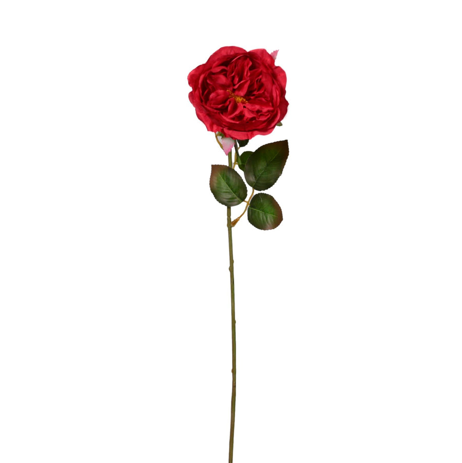 Austin Rose Stem