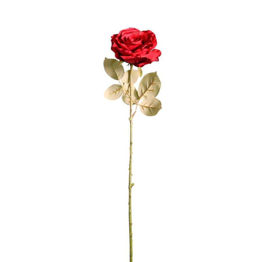 Lovestruck Cloud Rose
