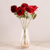 Lovestruck Cloud Rose