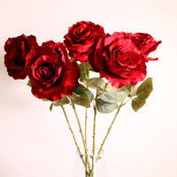 Lovestruck Cloud Rose