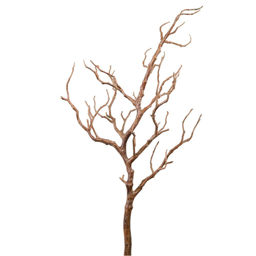 Wildwood Branch No:6