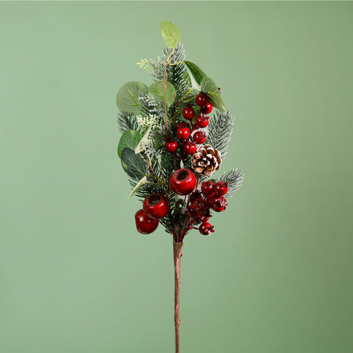 Premium Scarlet Rosehip Berry Medium Pic (55cm)