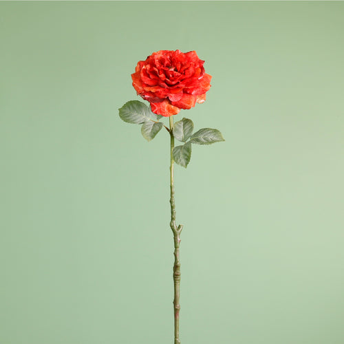 Textured Botanical Stem No.3