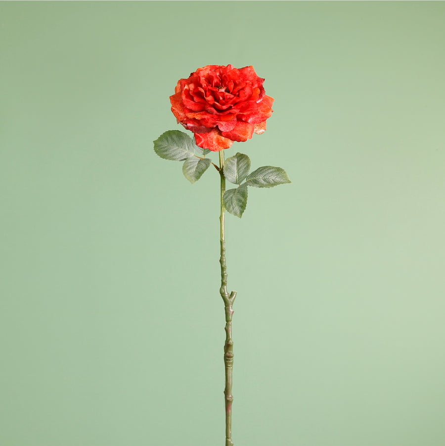 Textured Botanical Stem No.3