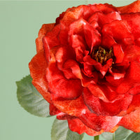 Textured Botanical Stem No.3