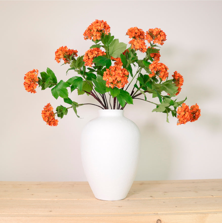 Kalancheo Geranium Spray