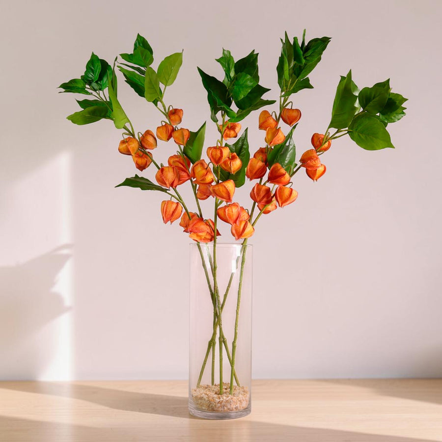 Chinese Lantern Stem