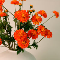 Ruffled Chrysanthemum Spray Handtied