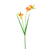 Freesia Spray